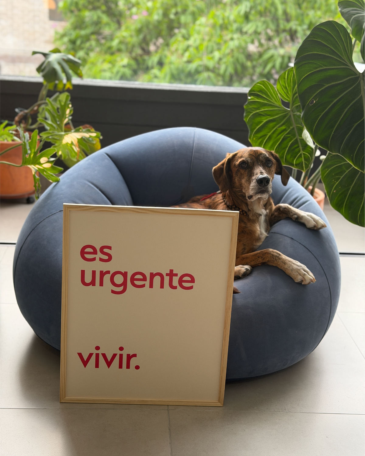 Vivir