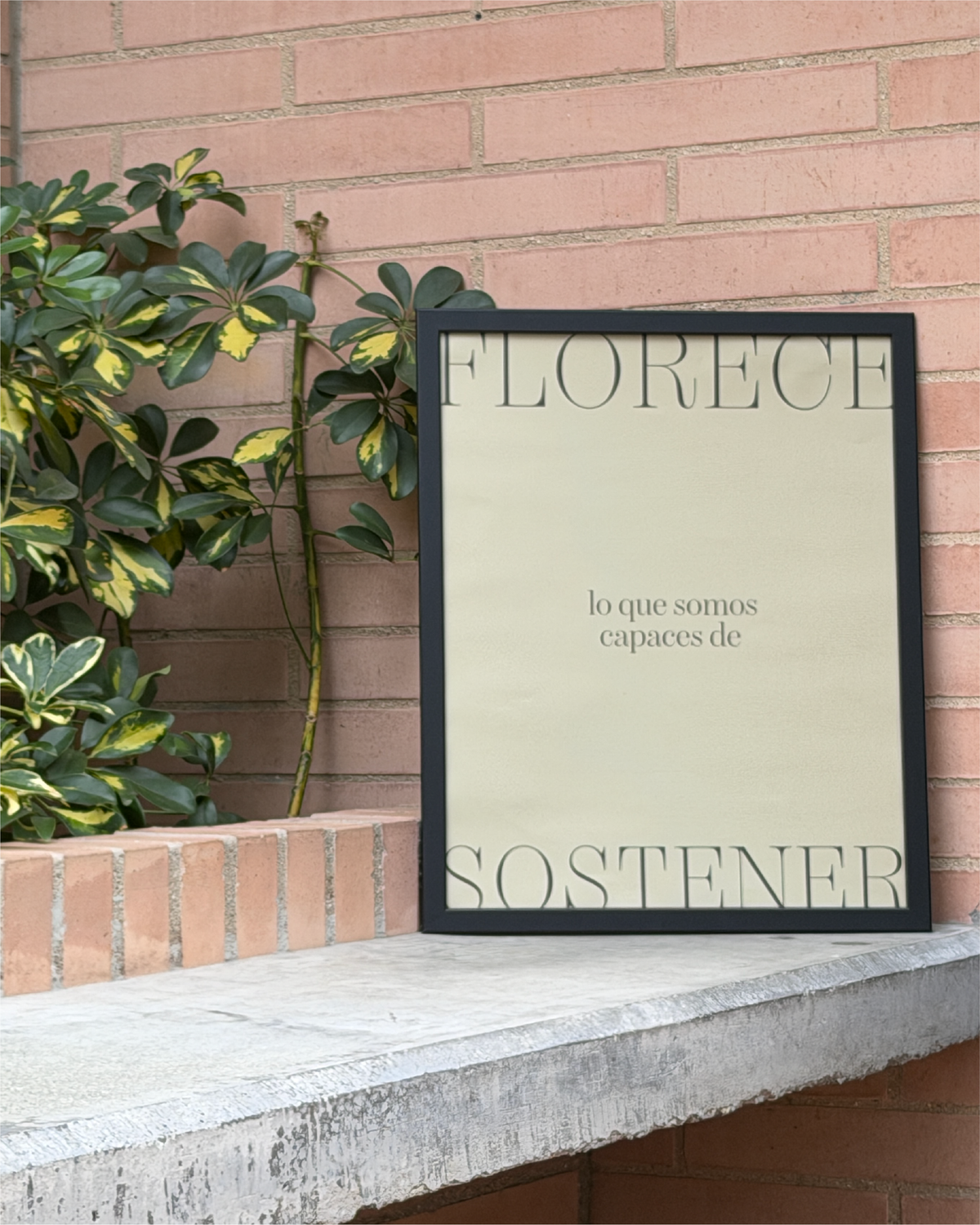 Florecer