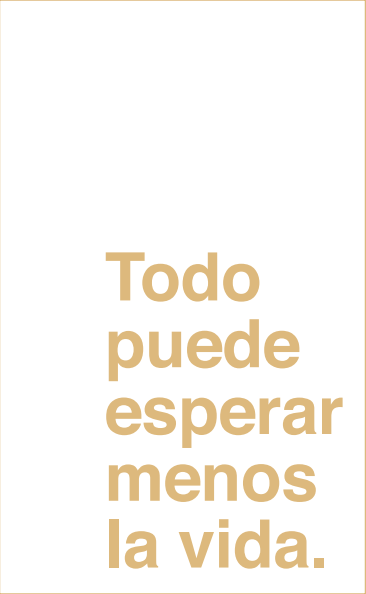 Vida